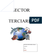 Sector Terciari 2