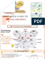 9 - Regnul Protista - PPT