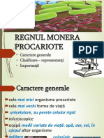 9 Regnul Monera PPT