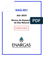 NAG-601(2019)