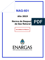 Nag 601 (2019)