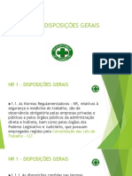 1 NR 1 Disposições Gerais