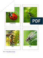 Ladybird Ant: Made With