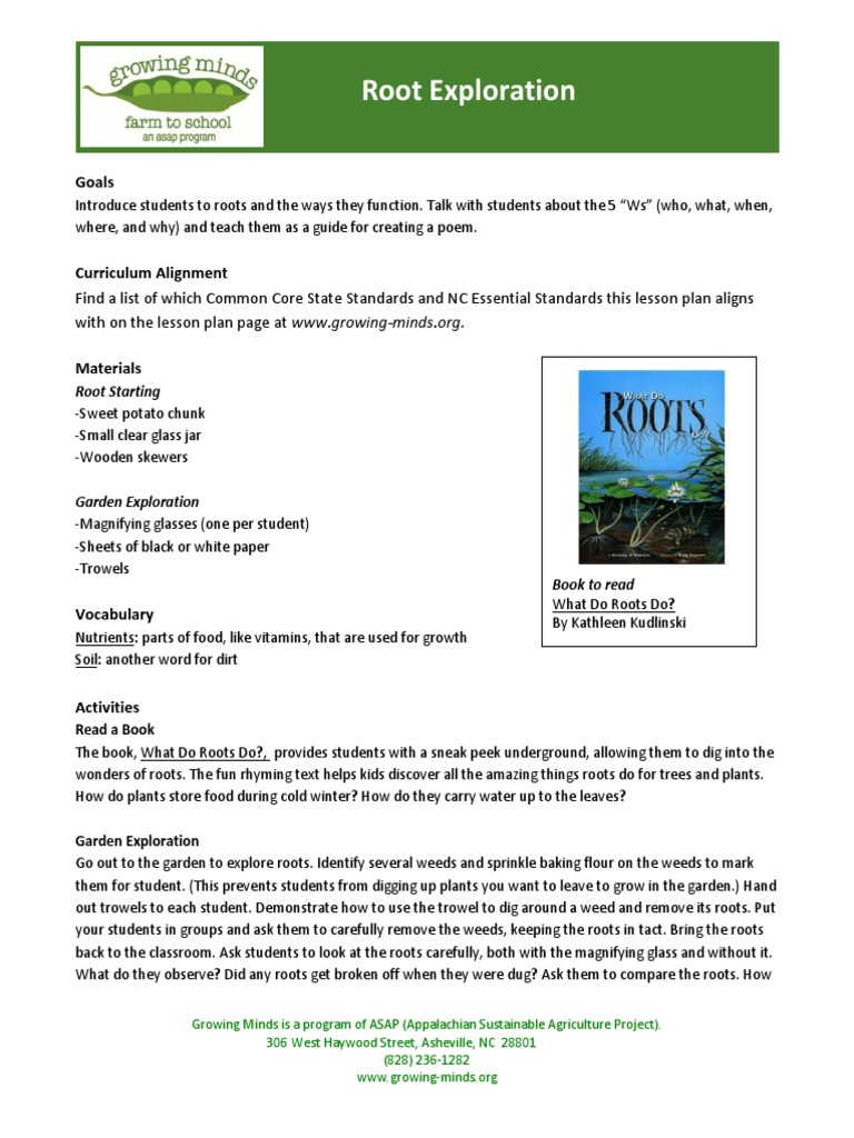Root Exploration Lesson Plan | PDF | Phrase | Root