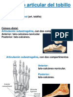 Articulación Subtalar Mediotarsiana 2021