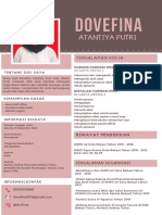 CV Dovefina