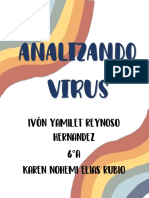 Analizando virus