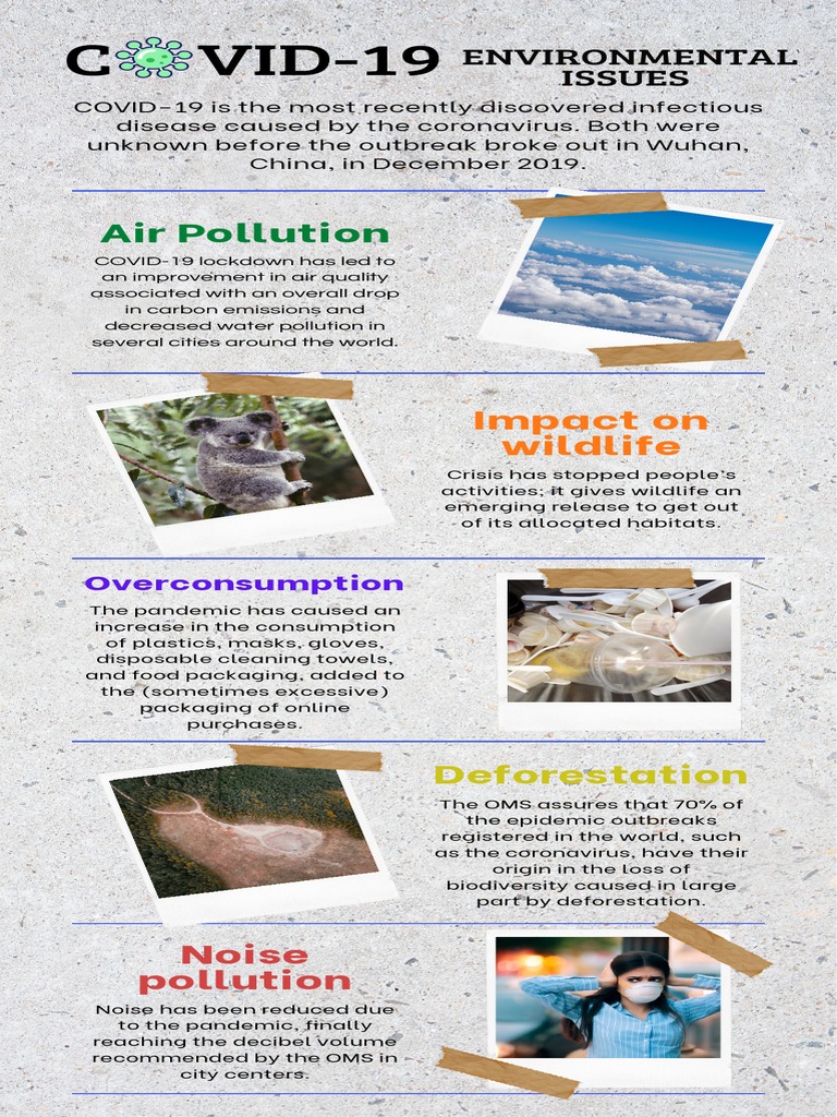 Environmental Issues (Infographic) | PDF | Science & Mathematics