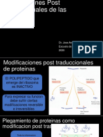 6.modificacion Proteinica
