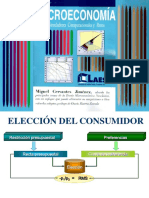 Micro 06 Elecciondelconsumidor