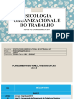 Psicologia Organizacional e Do Trabalho