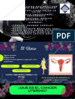 El cáncer de cuello uterino: epidemiología y factores de riesgo