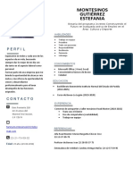 Nueva Plantilla Curriculum Vitae Gris Foto Lado