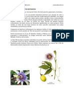 Monografia Pasiflora