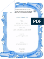 Resumen Auditoría-Unidad V-Expresión de Una Opinión