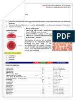 Clasificacion y Algoritmos de Las Anemias