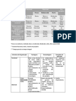 Estrutura Da Organização