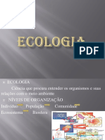 Ecologia e Relaçoes