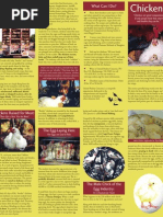 Download Chickens by Vegan Future SN58661894 doc pdf