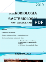 Leitura Obrigatória - Slide 3 - Bacteriologia Microbiologia