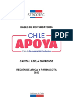 Bases convocatoria Capital Abeja Emprende Región Arica 2022