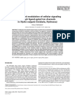 2012 Coordinated Modulation of Cellular Signaling Through Ligand-Gated Ion Channels in Hydra Vulgaris (Cnidaria, HYDROZOA) REVIEW