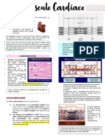 1.1.músculo Cardiaco