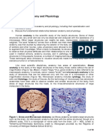 Module 1A - Overview of Anatomy and Physiology