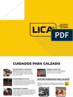 Catalogo Lica 2022 Enero