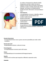 Lobulo Parietal