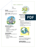 (Resumo) Meio Ambiente