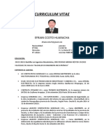 Curriculum Vitae: Efrain Ccoto Huaracha