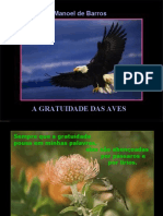 A gratuidade das aves na poesia de Manoel de Barros