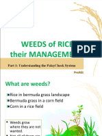 Weed MGT Updates and Issues