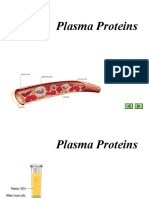 Protein Plasma