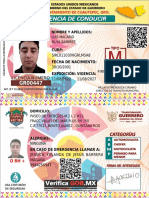 Luis Macariosilvaramírez - Licencia Estatal-Tipo M