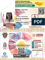 Ingrid Cheyennehernández Garcia-Licencia Estatal-Tipo A