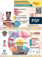 Danielmanriqueferral-Licencia Estatal-Tipo B