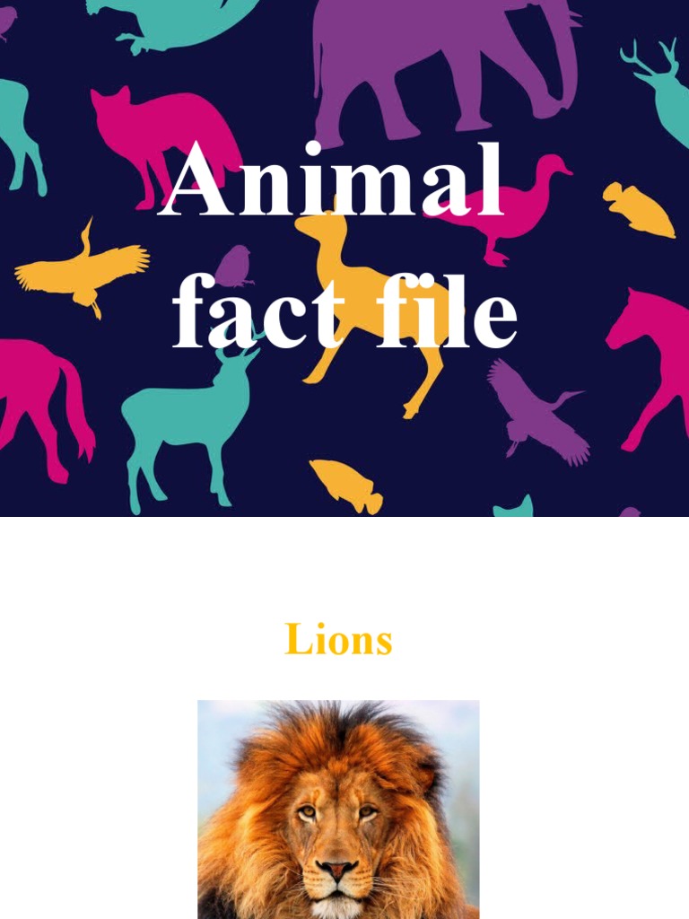 Animals | PDF