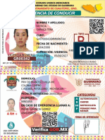 Patricia Garnicatena - Licencia Estatal-Tipo B