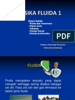 Fluida1