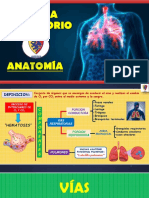 Sistema Repiratorio