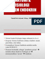 12.anfis S.endokrin