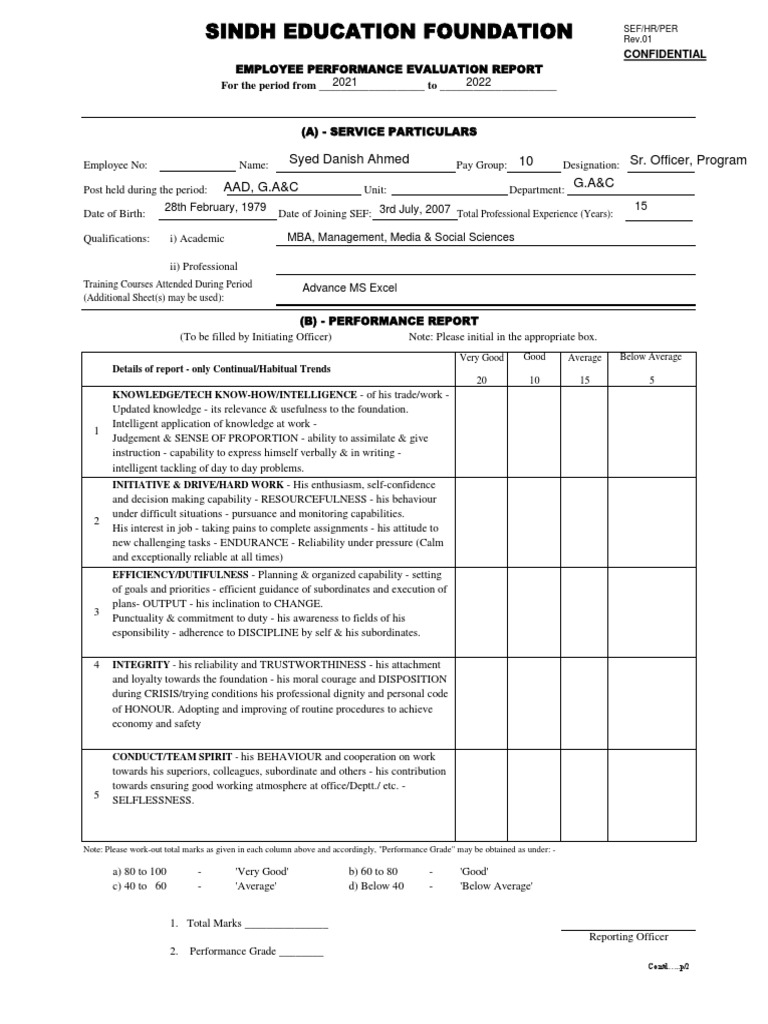 Special Format of Performance Evaluation Report PDF Psychology