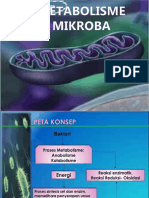 Metabolisme mikroba