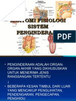 Pertemuan Ke-6 MK Fisiologi - Anatomi Fisiologi Pancaindra