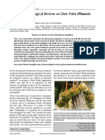 Phytopharmacological Review On Date Palm Emphoenix Dactyliferaem