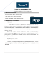 Relatório da atividade prática de musicoterapia com idosos