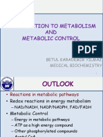 Introduction to Metabolism Pathways and Control