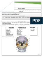 Ac Osteologia Cabeça e Pescoço